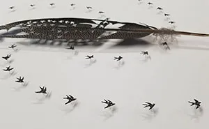 I Hand-Carve Feathers Into Intricate Designs Using Scalpels And Eye Surgery Scissors (30 New Pics)