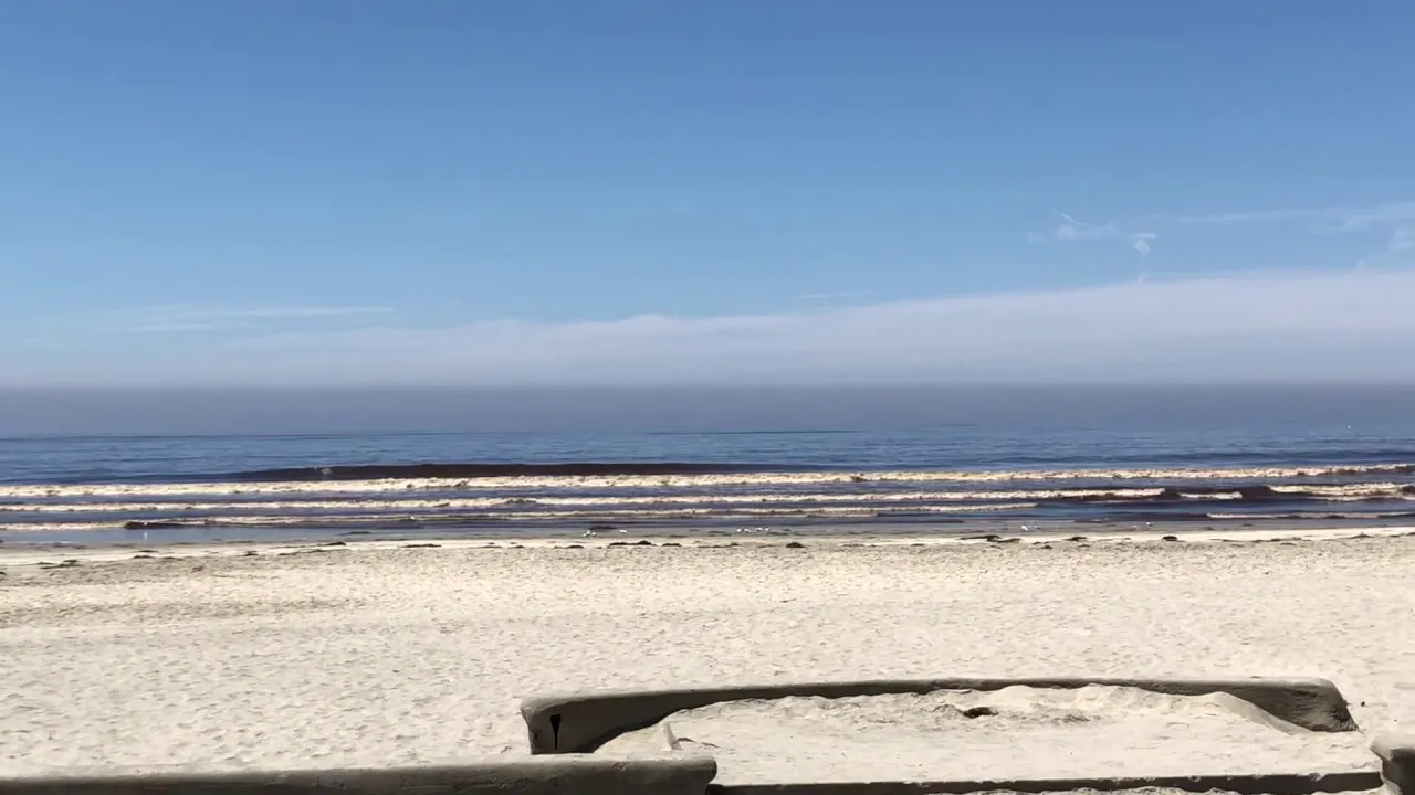 Red Tide! Never Seen It Like This