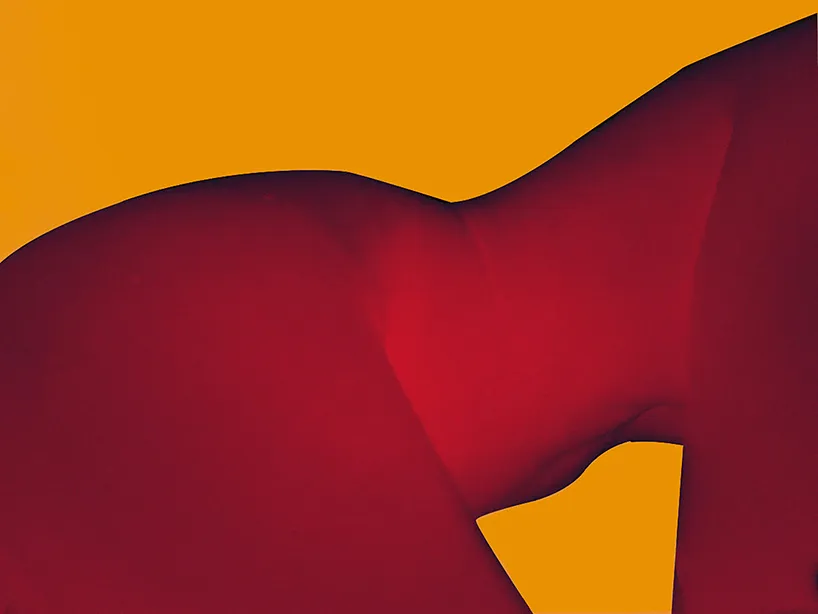 Piel Series