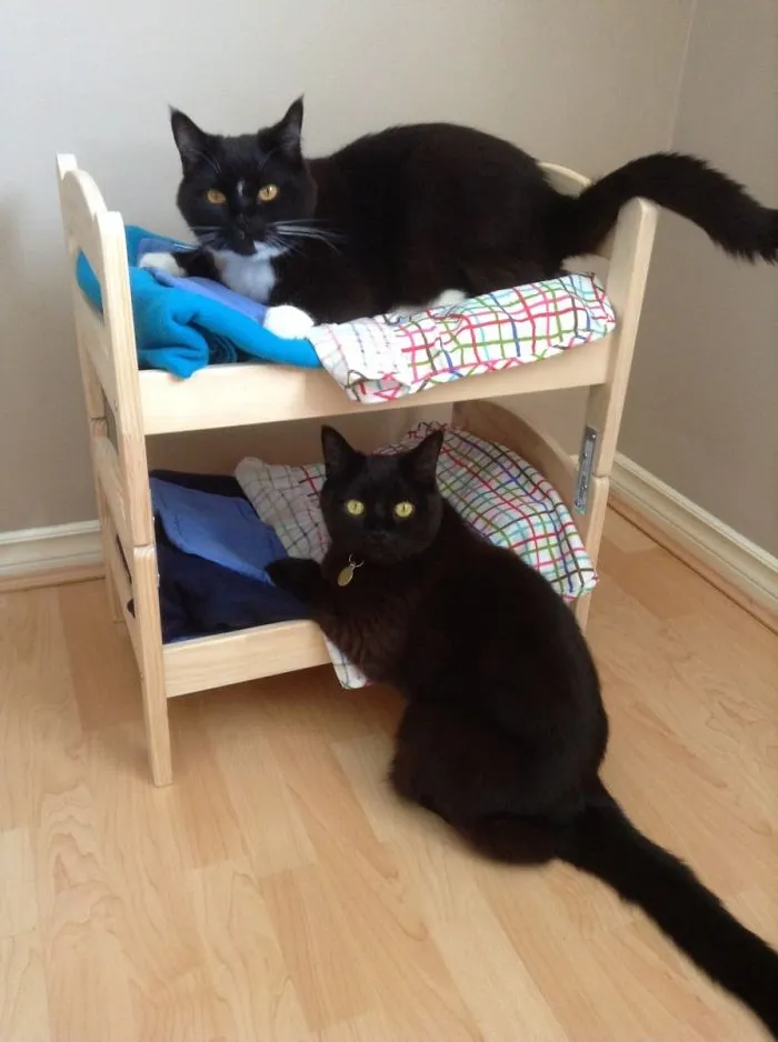 IKEA Doll Bed