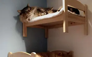 IKEA Sells Mini Beds For Children's Toys, People Buy Them For Their Cats (30 Pics)