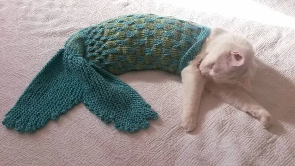 Unleash Your Cat's Inner Mermaid With This Amusing Knit Mermaid Blanket / Photo Prop