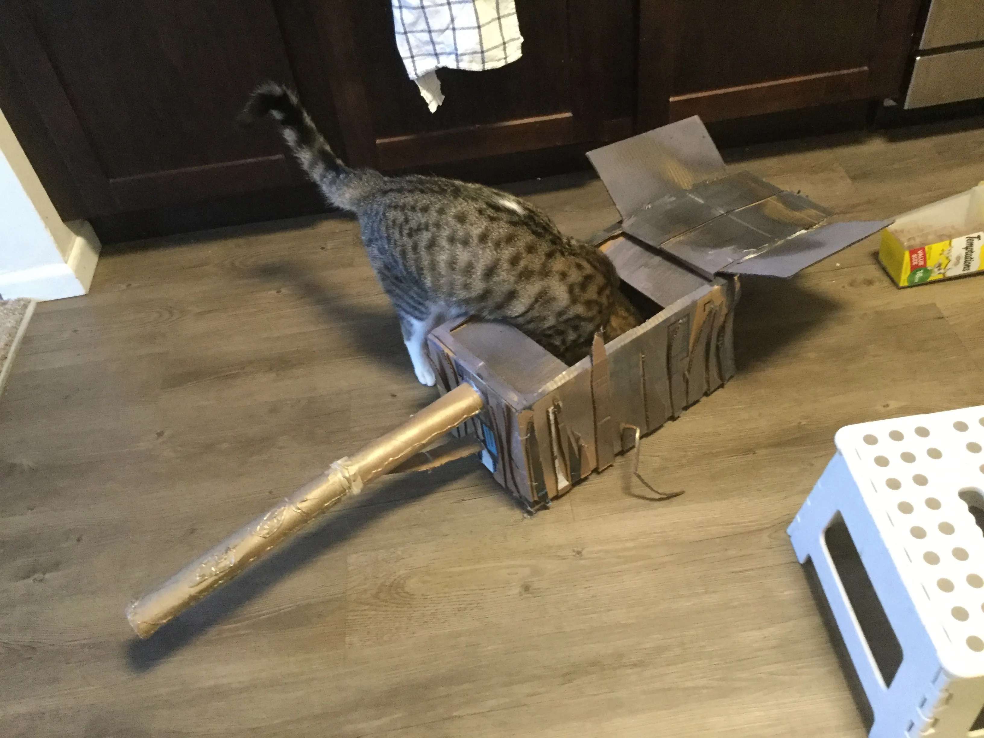 Kitty In Tank