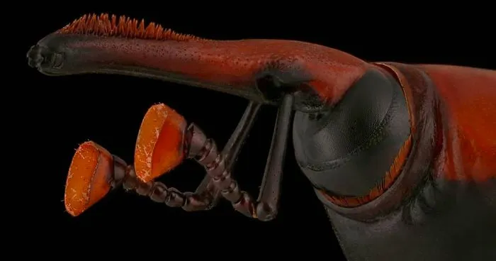 Photographer Captures The Small Worlds Of Insects That You Might Never See That Closely (53 Pics)