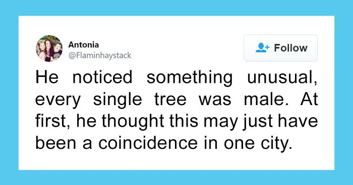 Scientist Discovers That "Tree Sexism" Might Be A Major Reason Behind Many Spring Allergies (Updated)