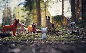 I Used My Camera To Recreate How My Kids See Their Toys (25 Pics)