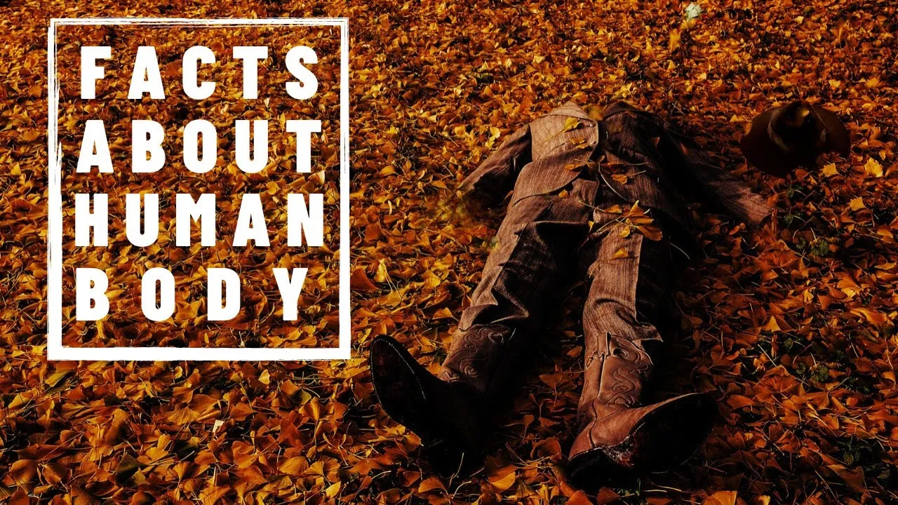 Interesting And Crazy Facts About The Human Body You Didn't Know.