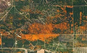 NASA Releases Satellite Images Of Massive California Superbloom Seen From Space