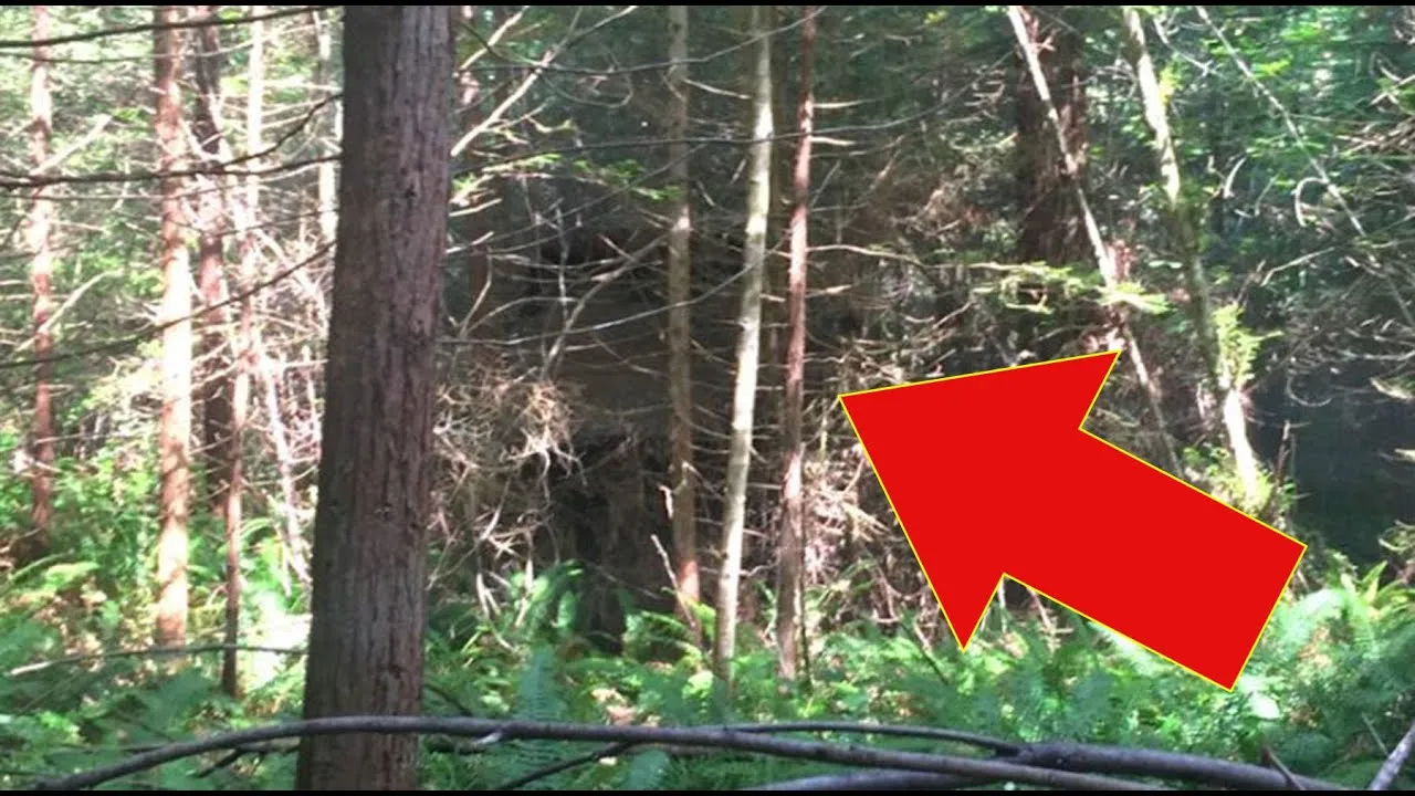 This Forest Ranger Stumbles Upon A Mysterious Cabin In The Woods With A Huge Surprise Inside