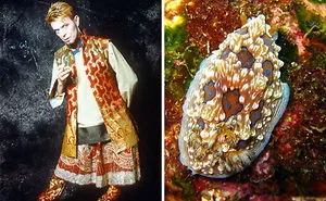 Someone Spotted That David Bowie Often Looked Like A Sea Slug, Created An Entire Blog To Prove It (30 Pics)