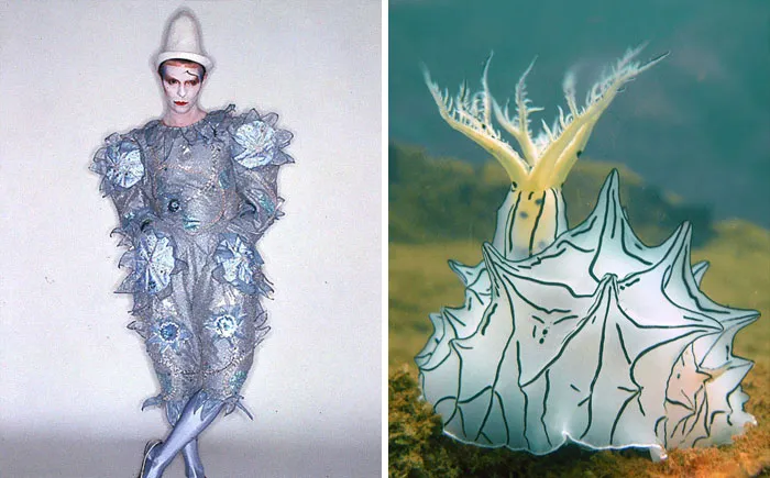 Someone Spotted That David Bowie Often Looked Like A Sea Slug, Created An Entire Blog To Prove It (30 Pics)