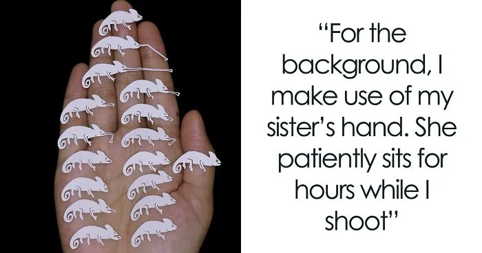I Create Papercut Animations And Each One Takes At Least A Week To Complete (19 GIFs)