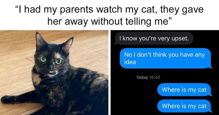 Person Has Their Parents Watch Their Cat During Their First Year Of College, Parents Secretly Give It Away