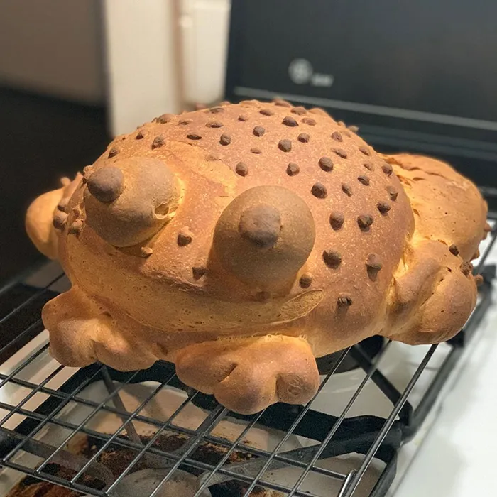 30 People Share Their Attempts At The Latest Trend - Baking Frog Bread