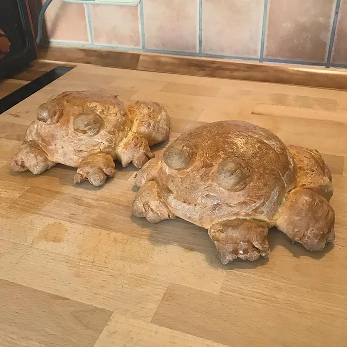 30 People Share Their Attempts At The Latest Trend - Baking Frog Bread