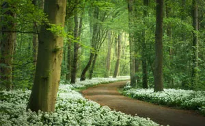 I Think The Netherlands Is The Most Beautiful Country In The World And Here Is Why (28 Pics)
