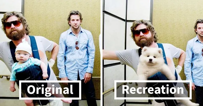 I Wanted To Spread Some Positivity So I Replaced Actors In Famous Movie Scenes With My Dogs (13 Pics)