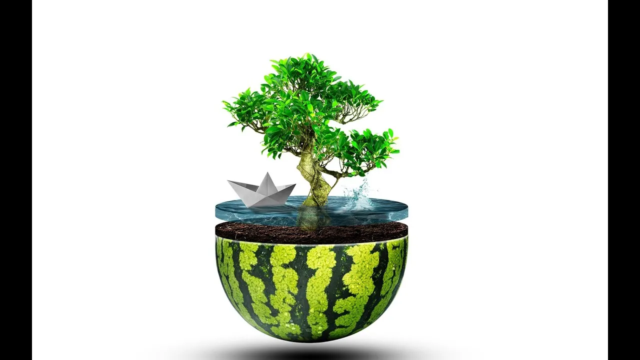 How To Make A Watermelon And Bonsai Photoshop Manipulation  | Photoshop Tutorial