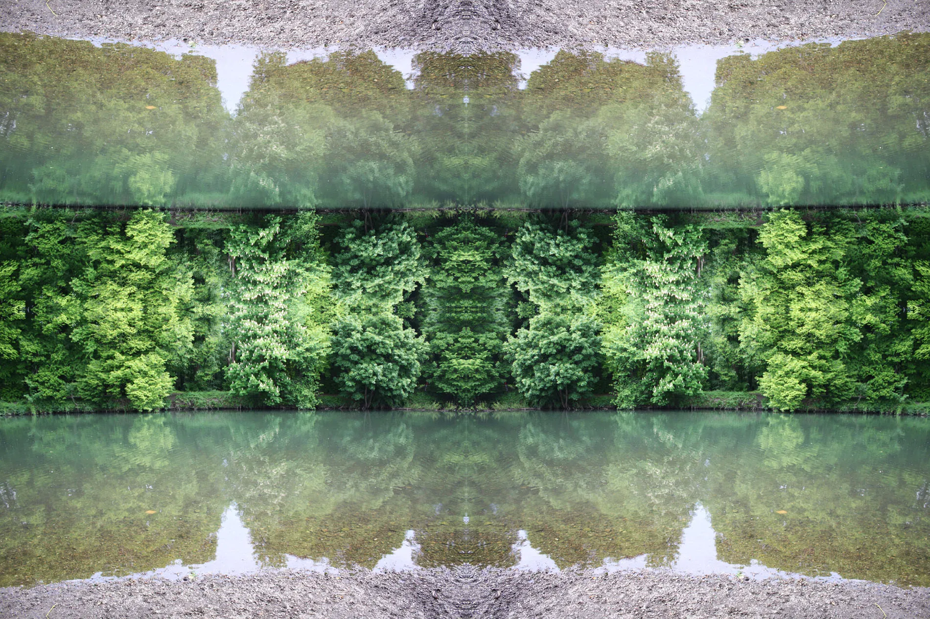 Mirroring My Eyes: An Attempt To Make My Daily Same Route Lockdown Walk More Bearable.