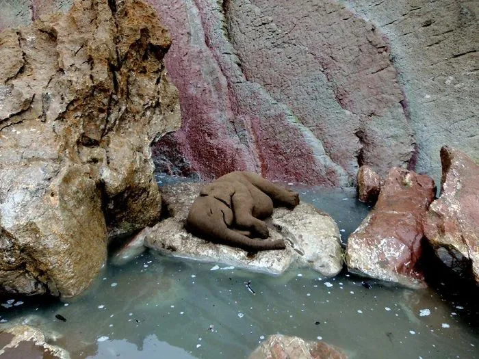 Sand Artist Creates Detailed Sculptures That You Could Easily Mistake For Live Animals If You Saw Them From A Distance