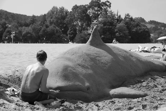 Sand Artist Creates Detailed Sculptures That You Could Easily Mistake For Live Animals If You Saw Them From A Distance