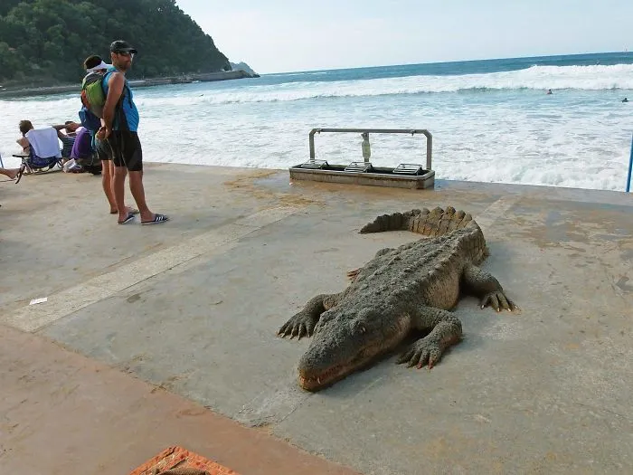 Sand Artist Creates Detailed Sculptures That You Could Easily Mistake For Live Animals If You Saw Them From A Distance