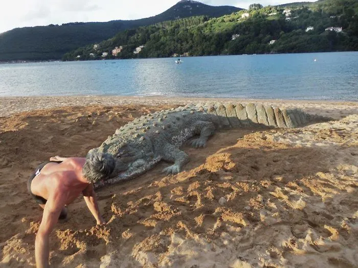 Sand Artist Creates Detailed Sculptures That You Could Easily Mistake For Live Animals If You Saw Them From A Distance