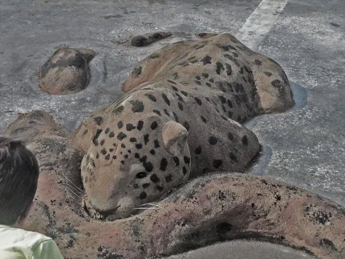 Sand Artist Creates Detailed Sculptures That You Could Easily Mistake For Live Animals If You Saw Them From A Distance