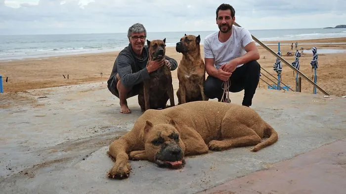 Sand Artist Creates Detailed Sculptures That You Could Easily Mistake For Live Animals If You Saw Them From A Distance