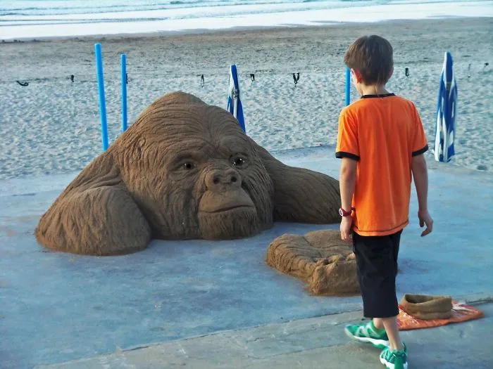 Sand Artist Creates Detailed Sculptures That You Could Easily Mistake For Live Animals If You Saw Them From A Distance