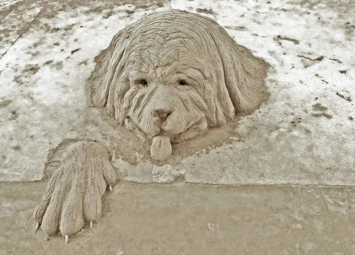 Sand Artist Creates Detailed Sculptures That You Could Easily Mistake For Live Animals If You Saw Them From A Distance