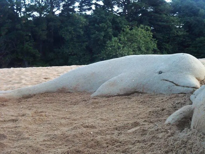 Sand Artist Creates Detailed Sculptures That You Could Easily Mistake For Live Animals If You Saw Them From A Distance