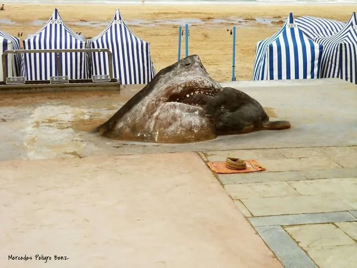 Sand Artist Creates Detailed Sculptures That You Could Easily Mistake For Live Animals If You Saw Them From A Distance