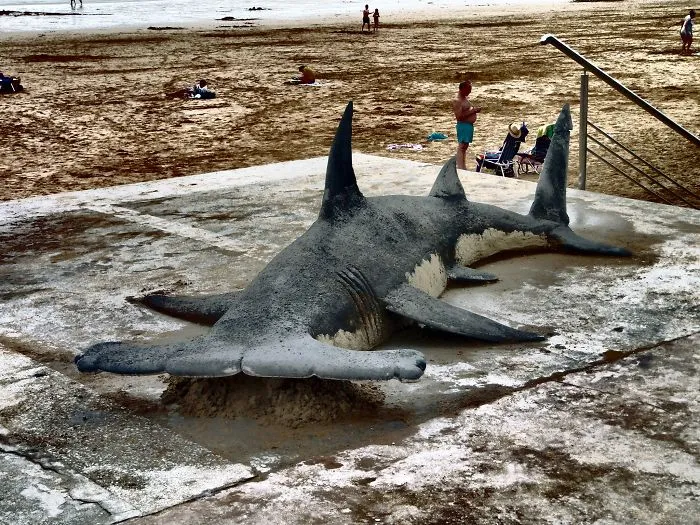 Sand Artist Creates Detailed Sculptures That You Could Easily Mistake For Live Animals If You Saw Them From A Distance