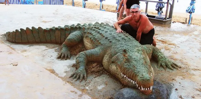 Sand Artist Creates Detailed Sculptures That You Could Easily Mistake For Live Animals If You Saw Them From A Distance