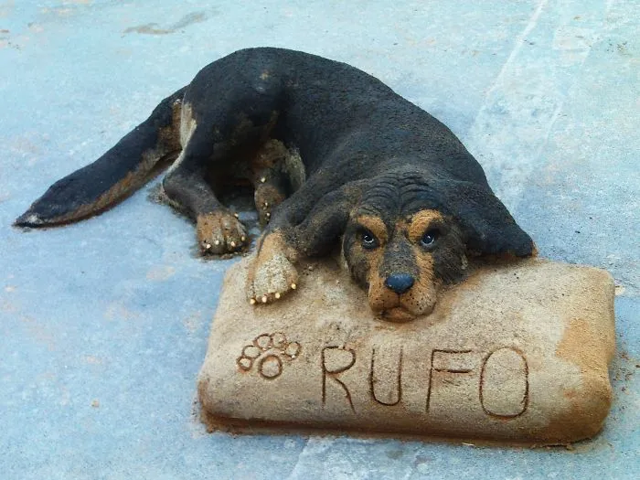 Sand Artist Creates Detailed Sculptures That You Could Easily Mistake For Live Animals If You Saw Them From A Distance