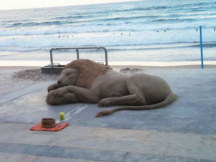 Sand Artist Creates Detailed Sculptures That You Could Easily Mistake For Live Animals If You Saw Them From A Distance