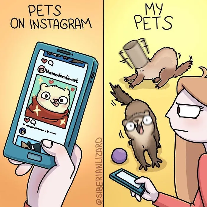 Siberian Artist Makes Adorable Comics About Everyday Life With Her Two Ferrets (30 Pics)