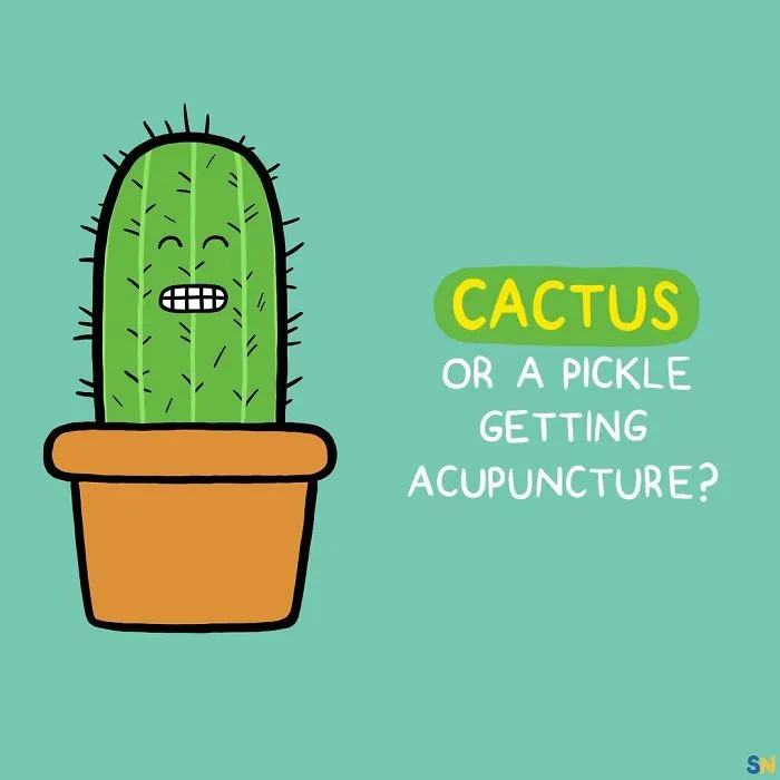 Bit Of A Pickle