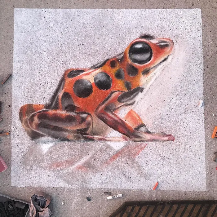 This Mother And Daughter Duo Is Creating Stunning 3D Chalk Art To Make Neighbors Smile (20 Photos)