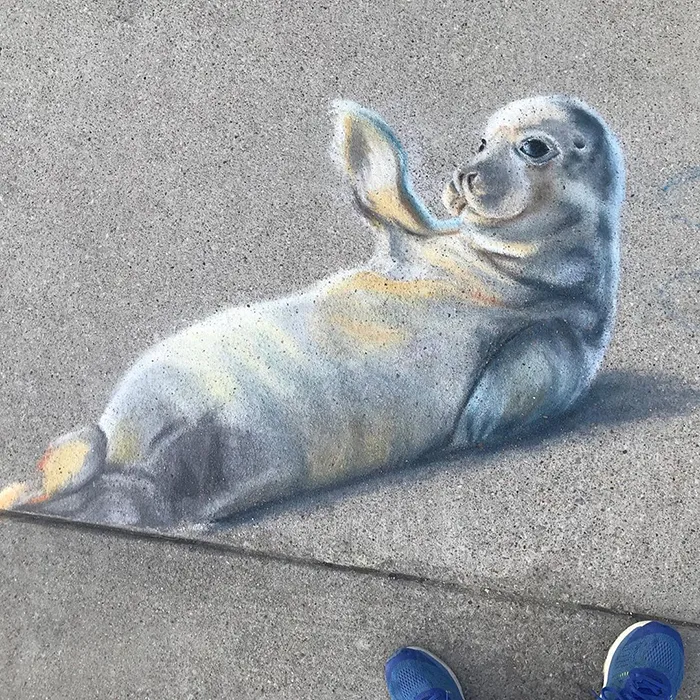 This Mother And Daughter Duo Is Creating Stunning 3D Chalk Art To Make Neighbors Smile (20 Photos)