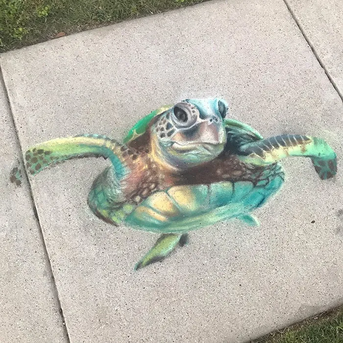 This Mother And Daughter Duo Is Creating Stunning 3D Chalk Art To Make Neighbors Smile (20 Photos)