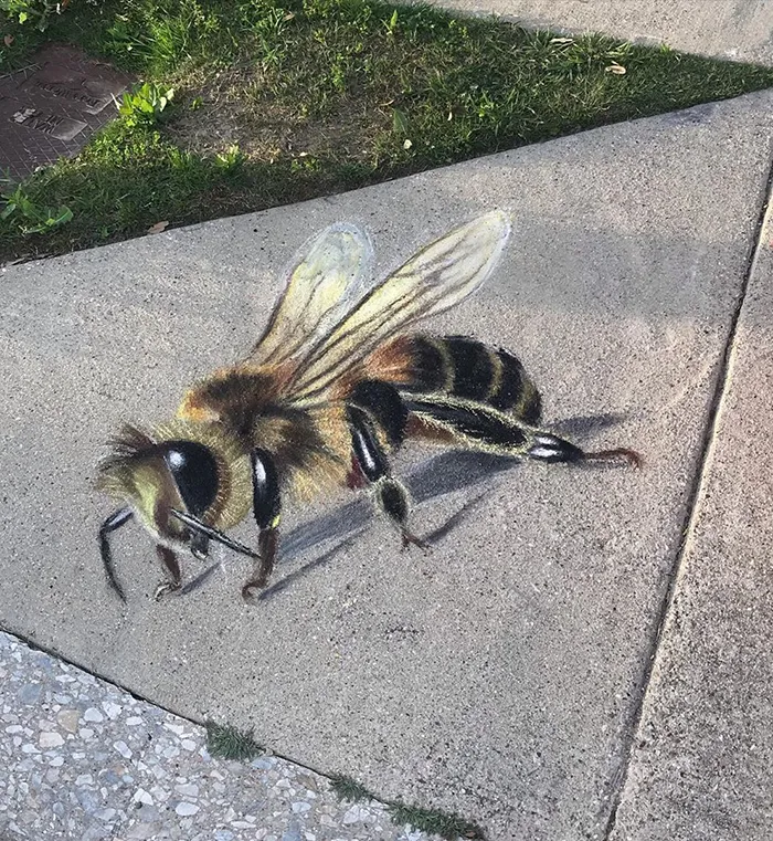 This Mother And Daughter Duo Is Creating Stunning 3D Chalk Art To Make Neighbors Smile (20 Photos)