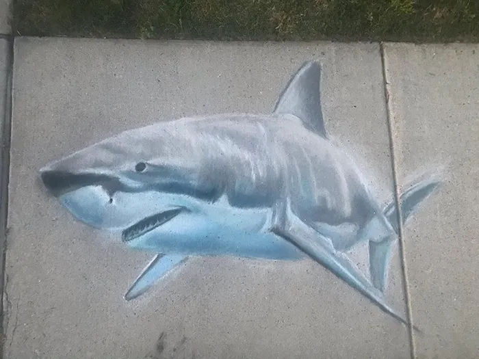 This Mother And Daughter Duo Is Creating Stunning 3D Chalk Art To Make Neighbors Smile (20 Photos)
