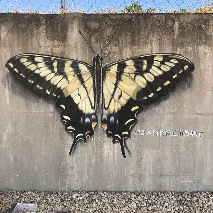 This Mother And Daughter Duo Is Creating Stunning 3D Chalk Art To Make Neighbors Smile (20 Photos)