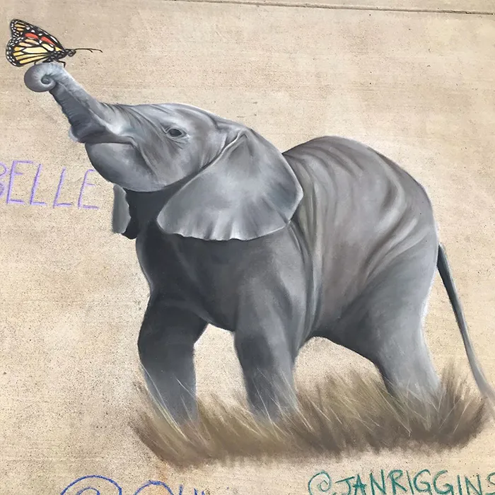 This Mother And Daughter Duo Is Creating Stunning 3D Chalk Art To Make Neighbors Smile (20 Photos)