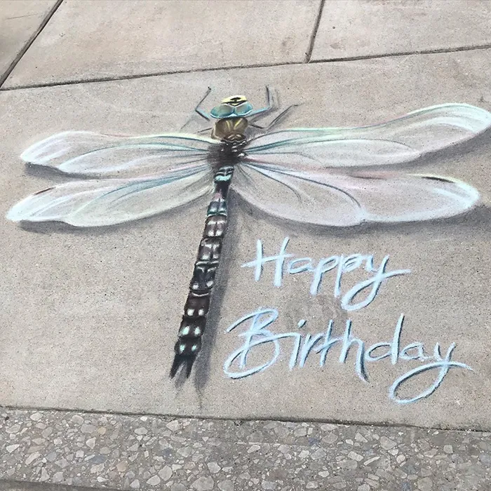 This Mother And Daughter Duo Is Creating Stunning 3D Chalk Art To Make Neighbors Smile (20 Photos)