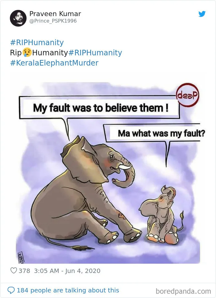 Artists Pay Tribute To The Pregnant Elephant Who Died Due To Someone Stuffing A Pineapple With Fireworks