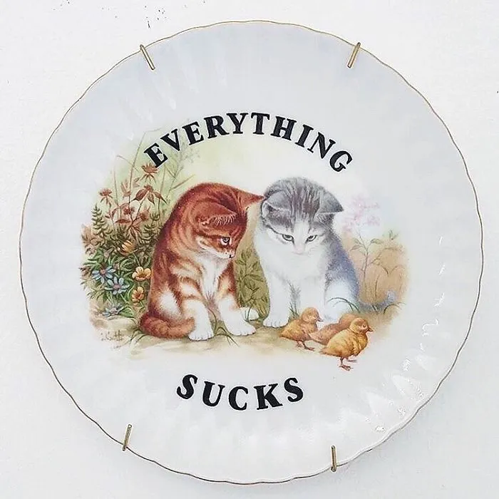 Thrifted Vintage Plates Made Irreverent With Typography By Marie-Claude Marquis (62 Pics)