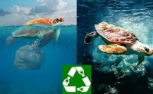How Plastic Waste Is Destroying Our Ecosystem?